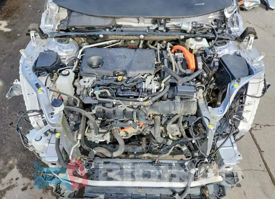 4T3D6RFV6MU018835 Photo# 12