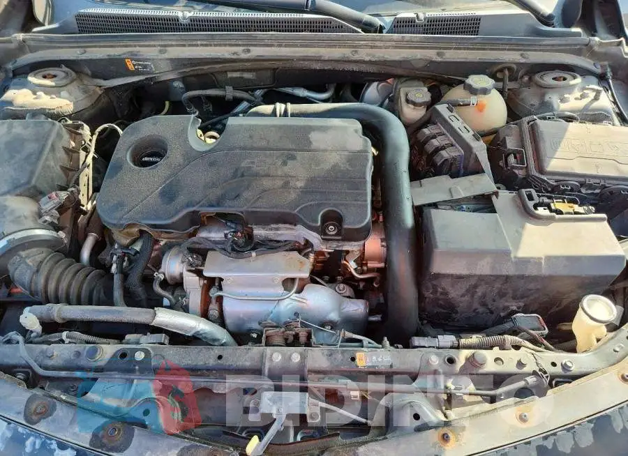 1G1ZB5ST3HF220143 Photo# 11