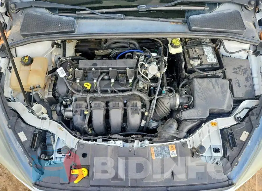 1FADP3H29HL202033 Photo# 11
