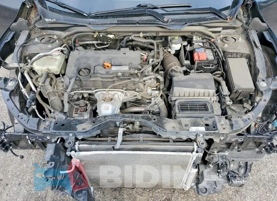 19XFC2F64KE211933 Photo# 11