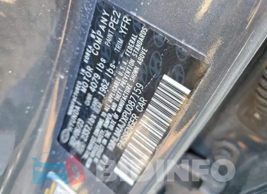KMHLM4AJXPU087159 Photo# 12