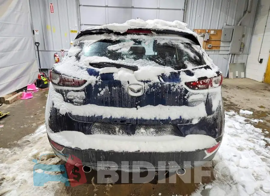 JM1DKFB74K1420060 Photo# 6