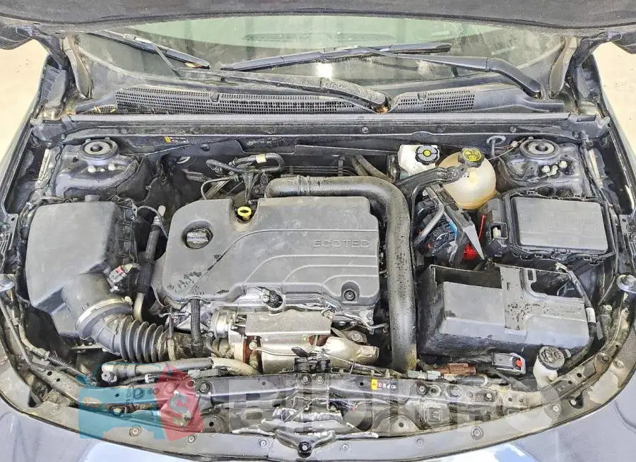 1G1ZD5ST1PF136511 Photo# 11