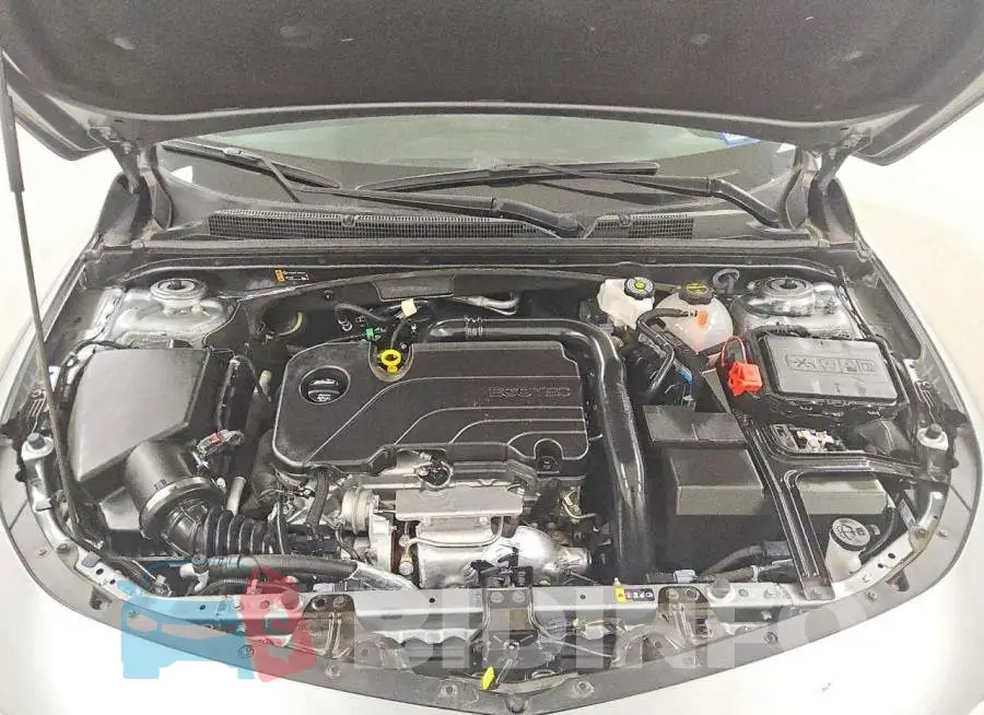 1G1ZD5ST4RF204707 Photo# 11