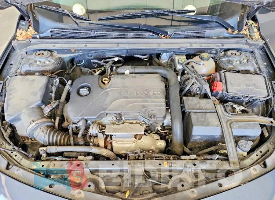 1G1ZD5ST6KF176642 Photo# 11