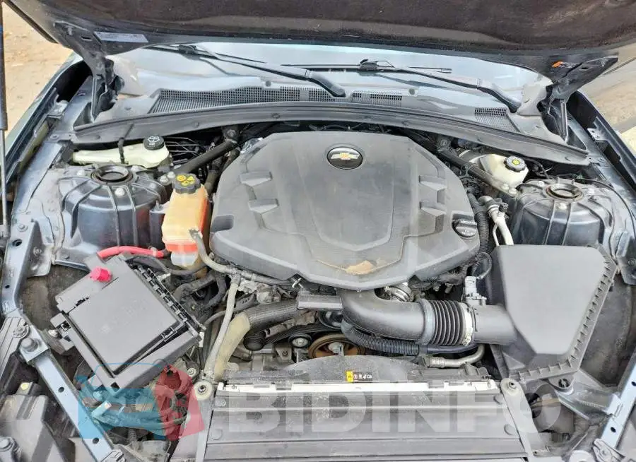 1G1FB1RS8K0158841 Photo# 11