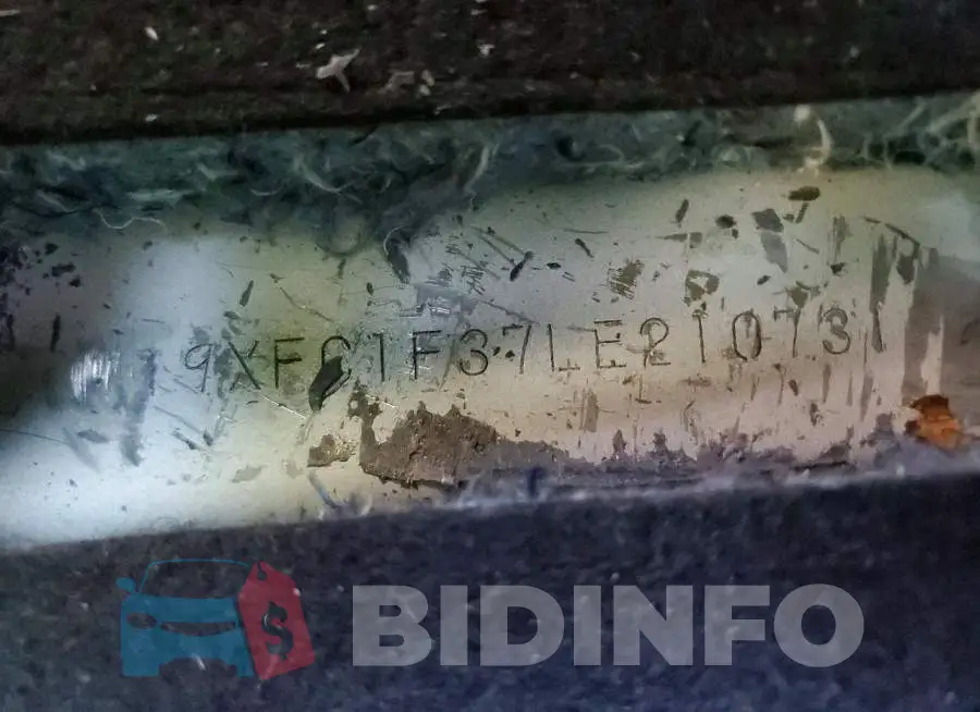 19XFC1F37LE210731 Photo# 12