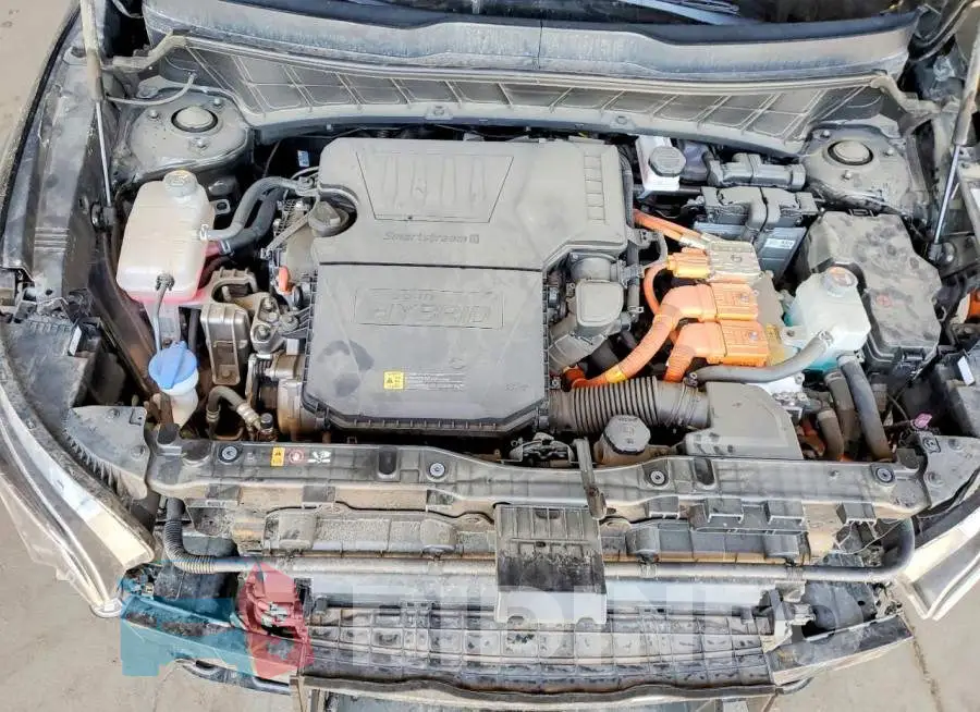 KNDCS3LFXP5054850 Photo# 11