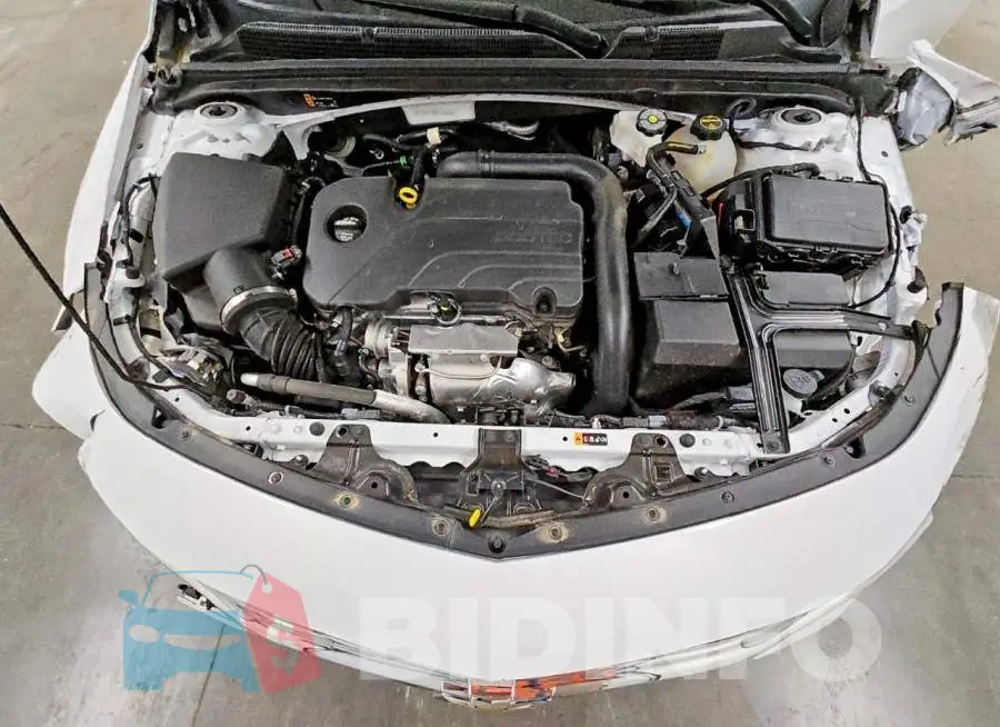 1G1ZD5ST3RF234636 Photo# 11