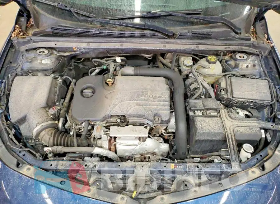 1G1ZD5ST5LF047244 Photo# 11