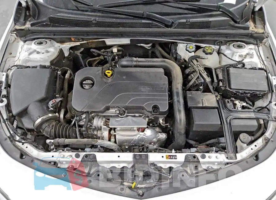 1G1ZD5ST6RF148267 Photo# 11