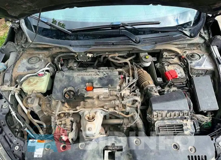 19XFC2F51HE072327 Photo# 7