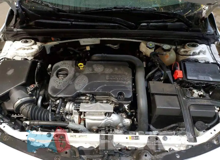 1G1ZD5ST5RF116569 Photo# 11