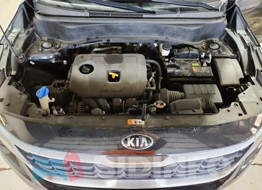 KNDEPCAA1M7174036 Photo# 12