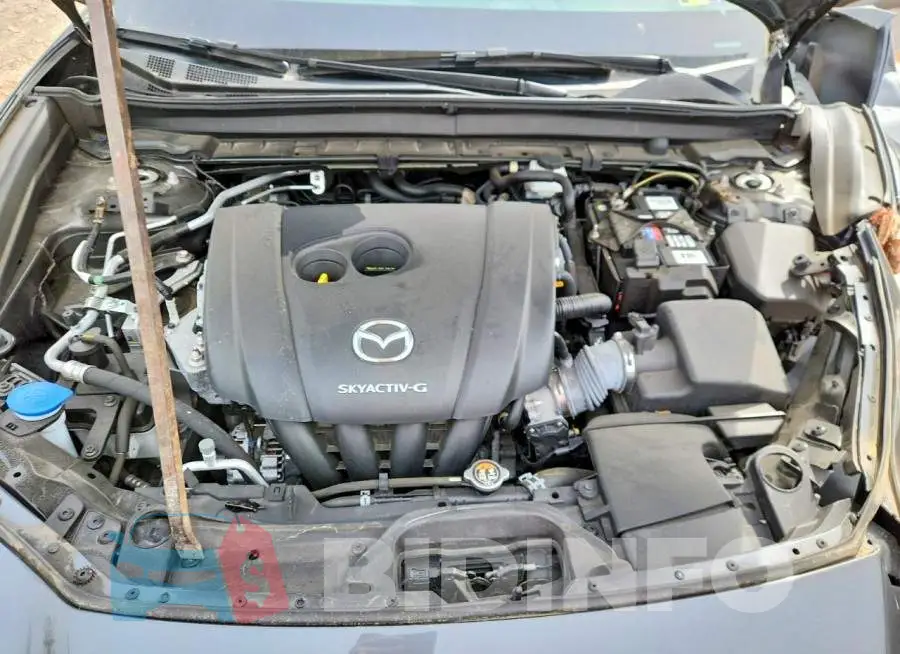 3MVDMBCL1MM247049 Photo# 11
