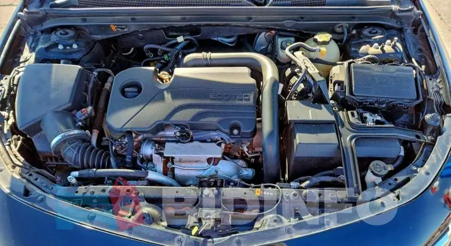 1G1ZD5ST5LF111377 Photo# 11