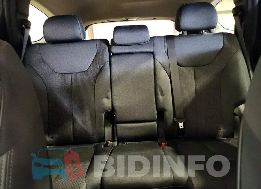 5NMS2DA19PH501187 Photo# 10