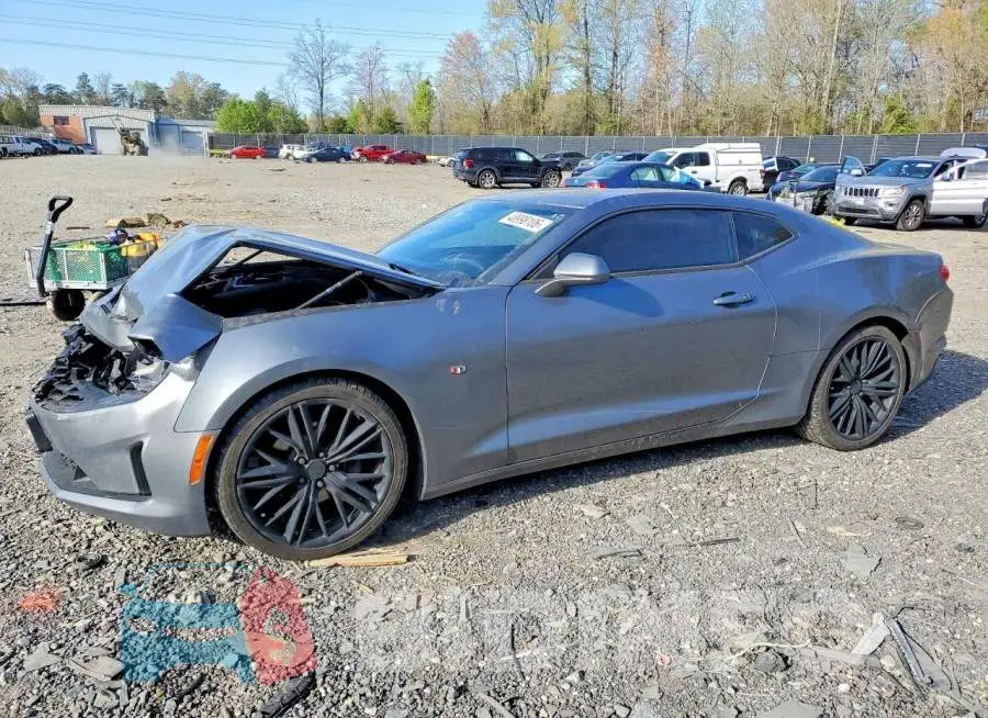 1G1FB1RS6L0118212 Photo# 1