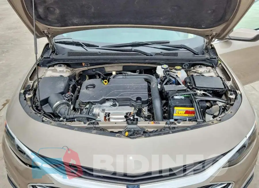 1G1ZD5ST5RF168316 Photo# 11