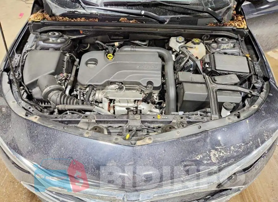 1G1ZD5STXPF229933 Photo# 11