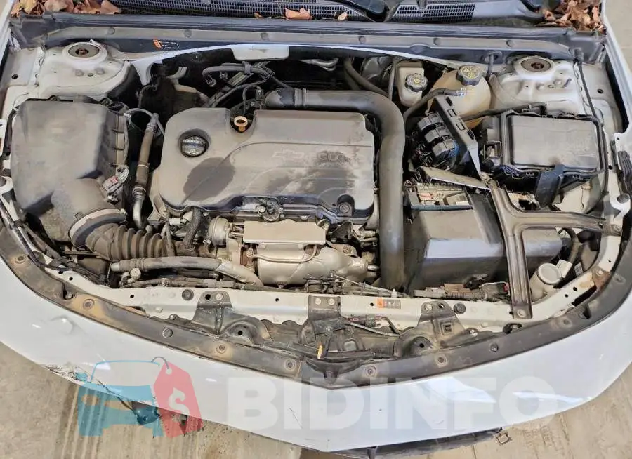 1G1ZE5ST5HF186844 Photo# 11