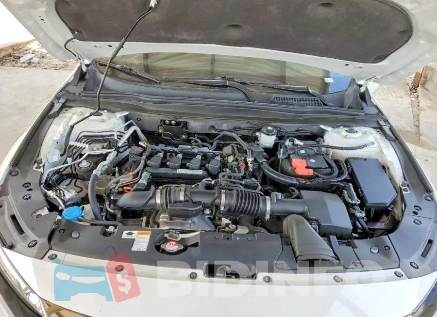1HGCV1F34KA151461 Photo# 11