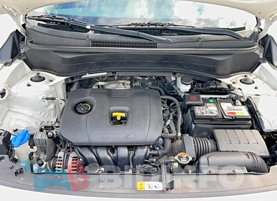 KNDEU2AA8M7105850 Photo# 7