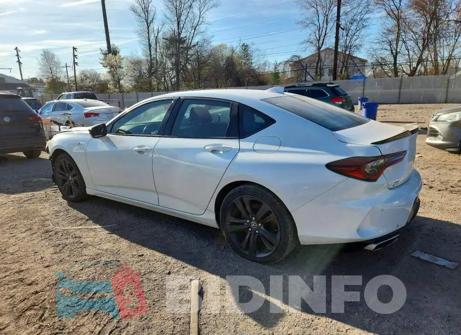 19UUB5F55MA011539 Photo# 2