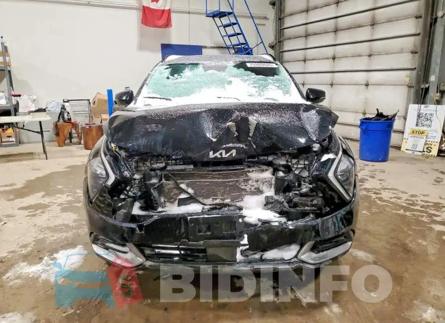 KNDPVCDFXS7348883 Photo# 5
