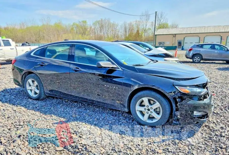 1G1ZB5ST8PF123700 Photo# 4