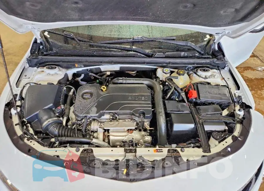 1G1ZD5ST3PF134761 Photo# 11