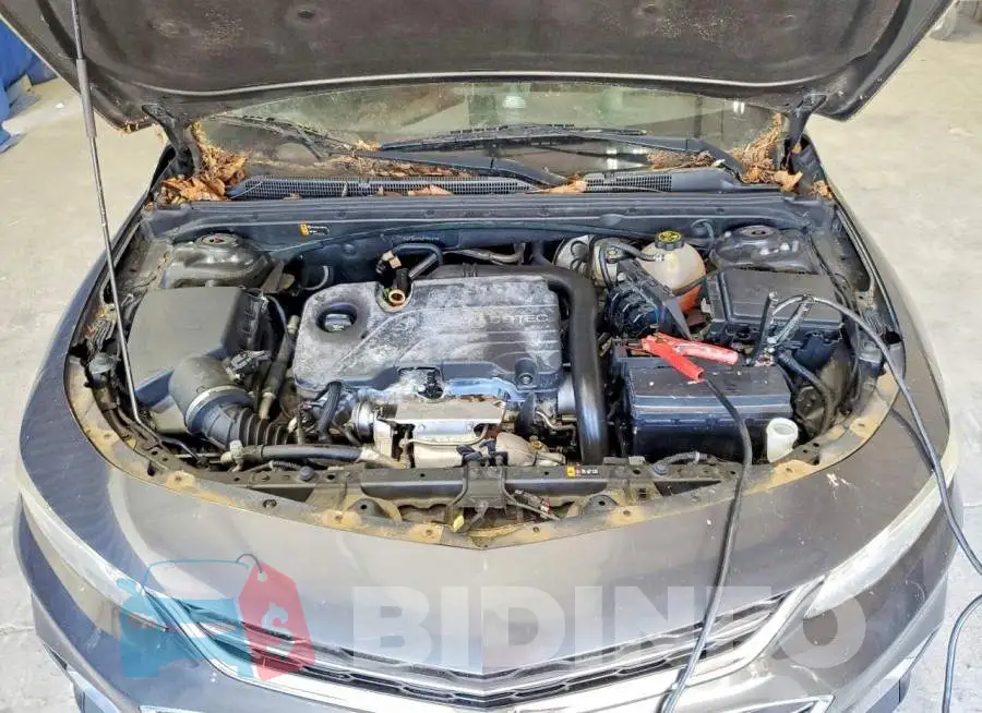 1G1ZD5ST6JF152419 Photo# 11