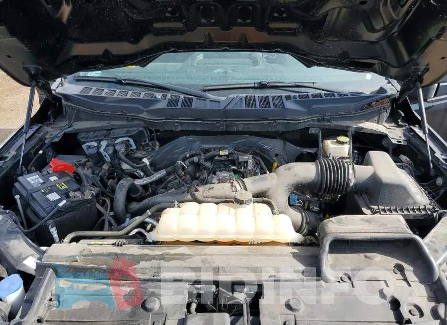 1FTEW1EP6MKD87020 Photo# 11