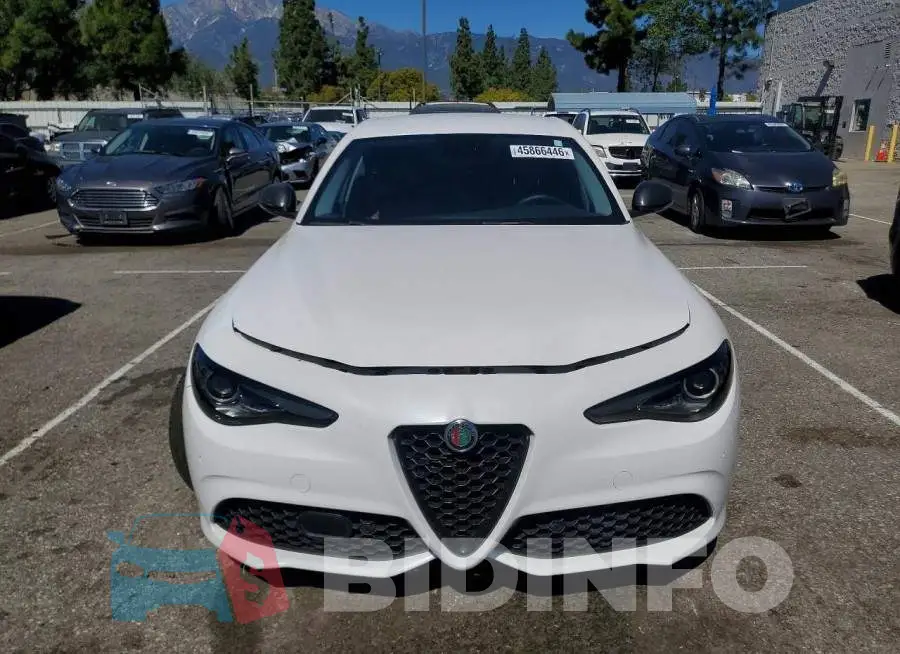 ZARFAECN7J7595231 Photo# 5