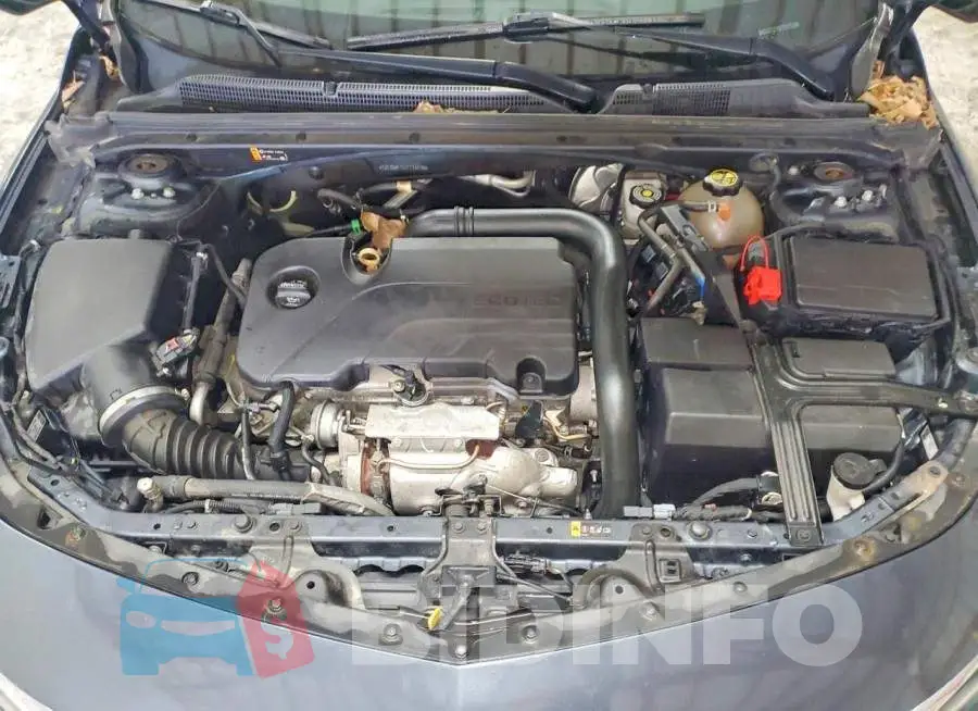 1G1ZD5ST6KF114495 Photo# 11