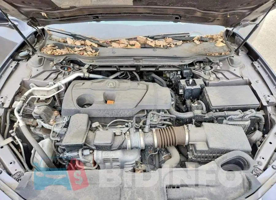 19UUB5F51MA007083 Photo# 11