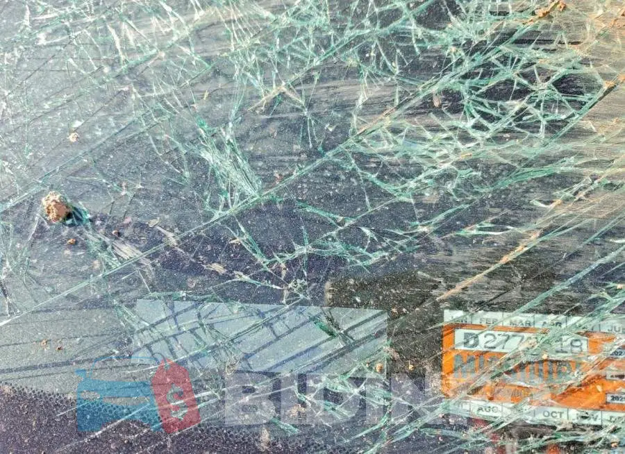 1C4SDJCT1JC279807 Photo# 9