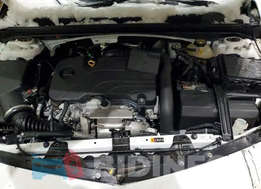 1G1ZD5ST3LF040146 Photo# 11