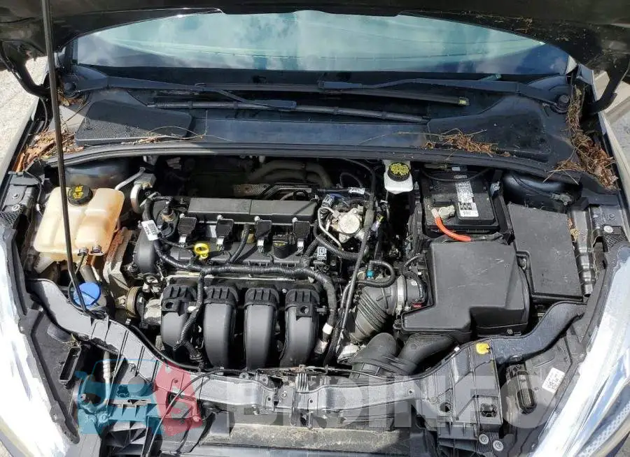1FADP3E22JL266649 Photo# 11