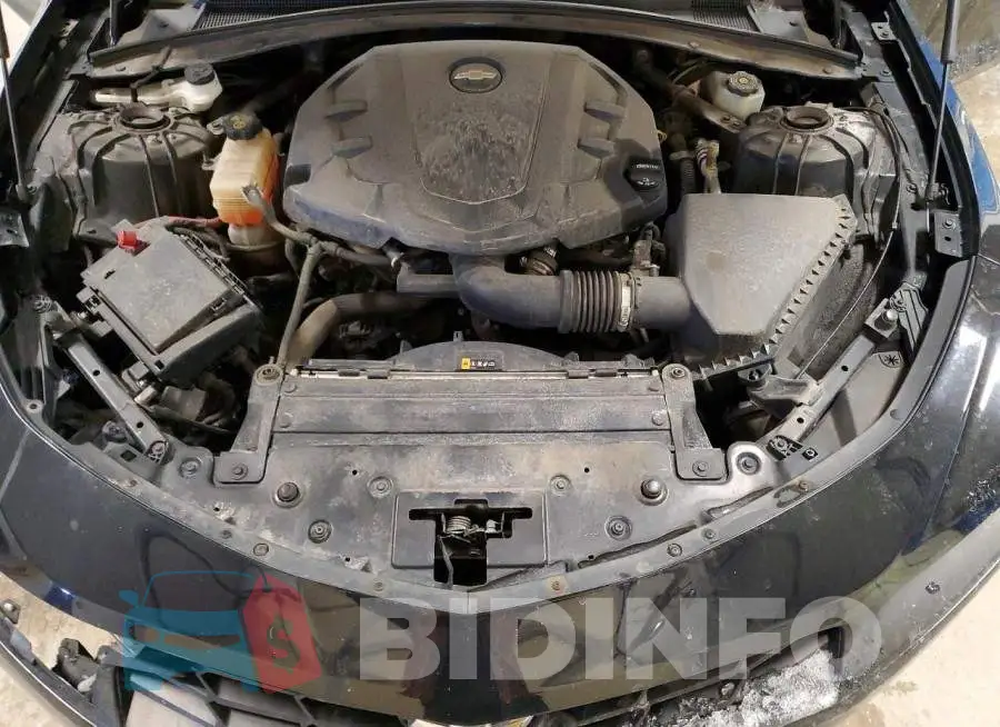 1G1FB1RS9K0106313 Photo# 11