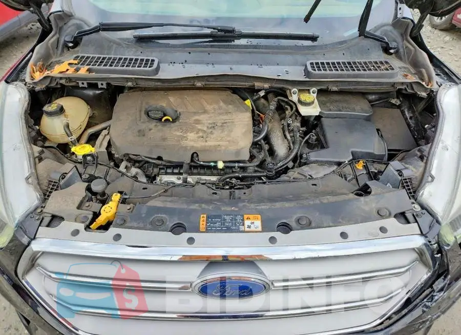 1FMCU9GD6HUB34090 Photo# 12