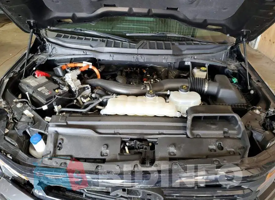 1FTFW3LD9RFA21920 Photo# 11