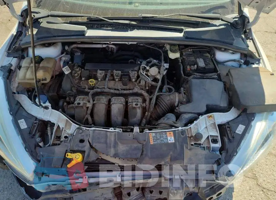 1FADP3F2XHL218003 Photo# 11