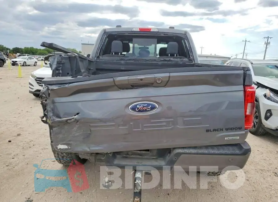 1FTFW1E89PFC48669 Photo# 6