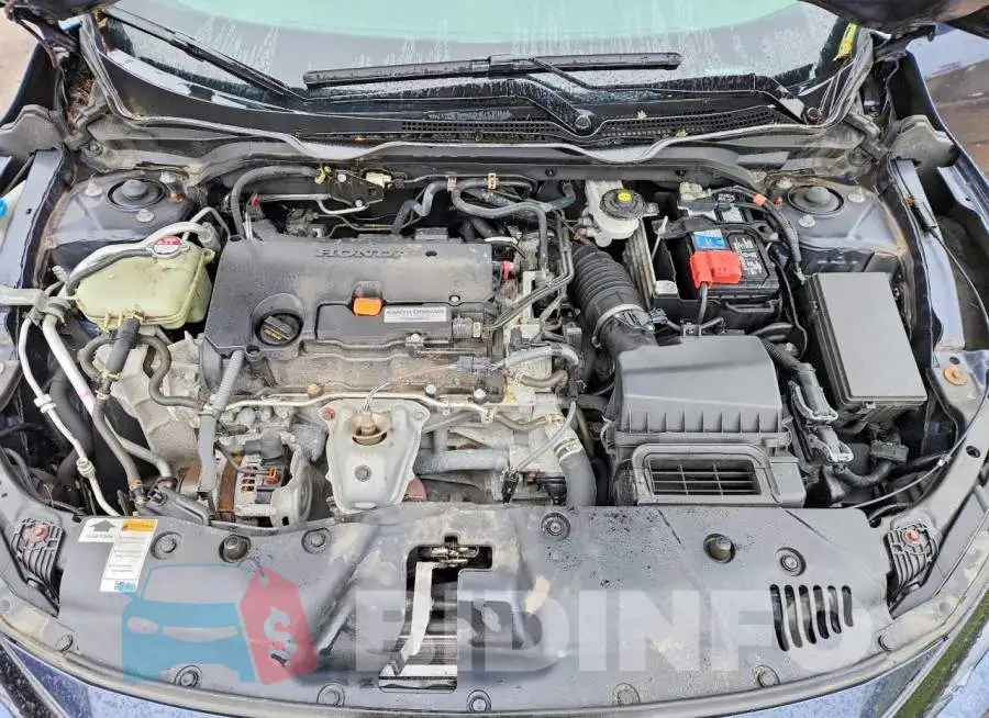 2HGFC2F64KH600884 Photo# 11