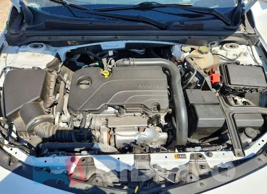 1G1ZD5ST5RF181504 Photo# 11