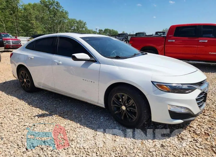 1G1ZD5ST5RF181504 Photo# 4