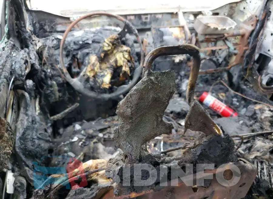1FTER4FH3MLD84778 Photo# 8