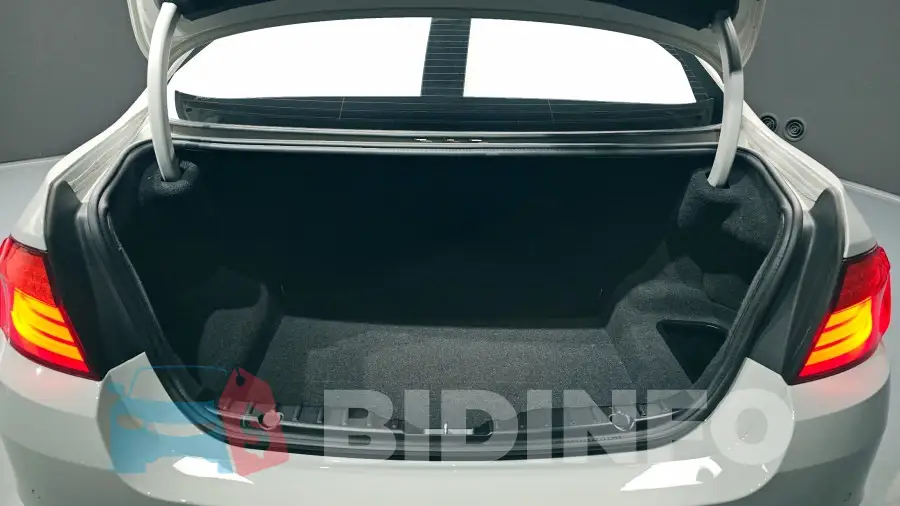 WBAXG3108DDW43220 Photo# 20