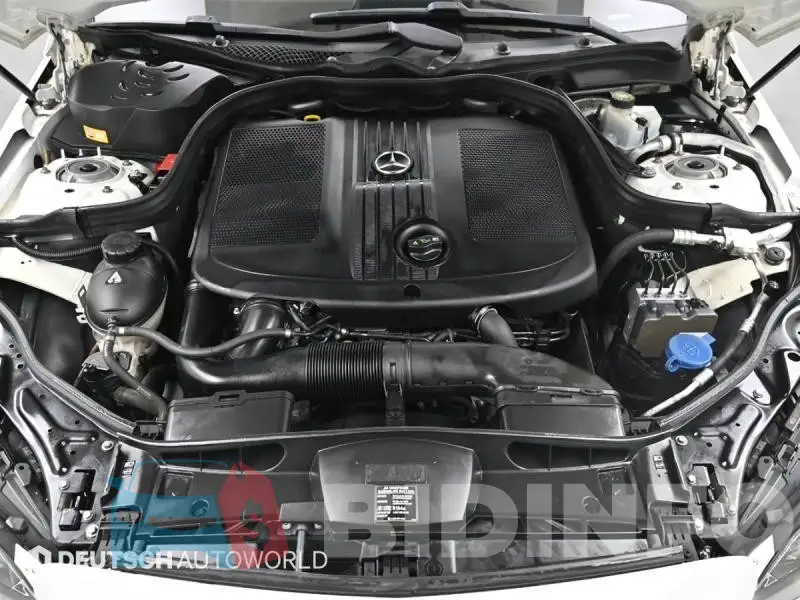 WDDHF0CB1FB107107 Photo# 19